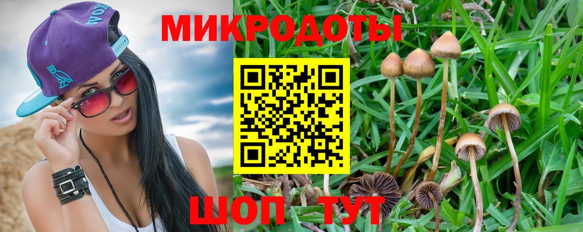купить наркотик  Вход с VPN  Липецк  Галлюциногенные грибы прущие грибы 