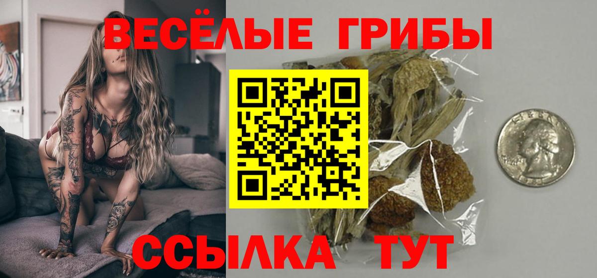 Галлюциногенные грибы GOLDEN TEACHER Липецк
